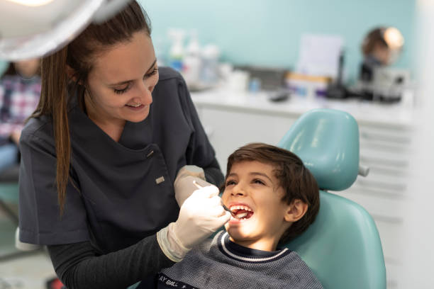 Best Mobile Emergency Dentist in Lake Camelot, IL