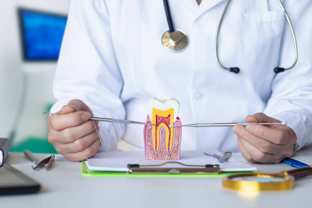 Best Emergency Cosmetic Dentistry in Lake Camelot, IL